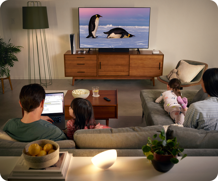 TV room with mesh